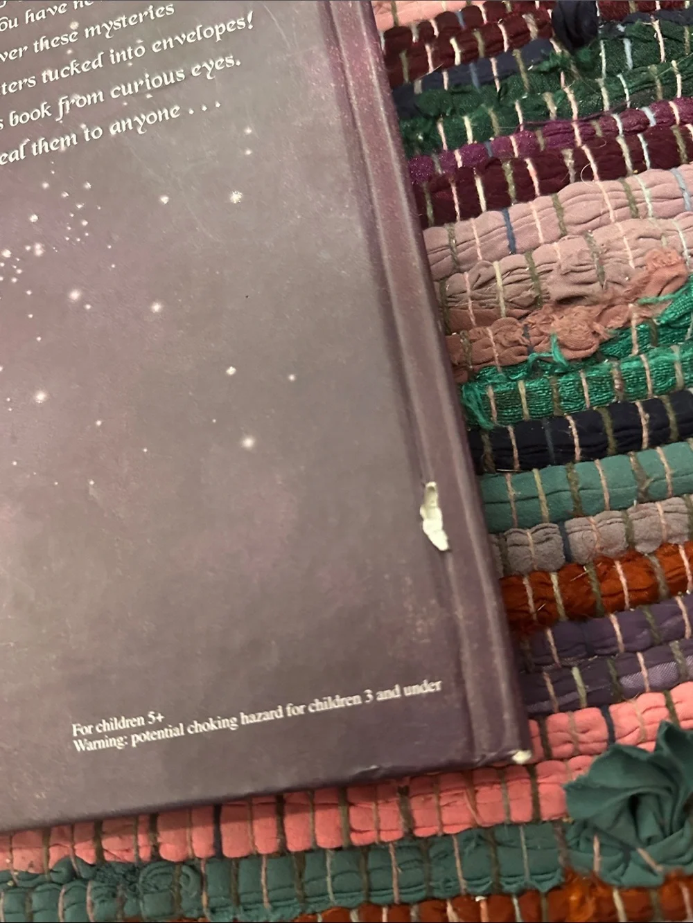 The Secret Life of Princesses Lift the Flap book